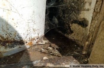 Spooky spiderwebs on this water heater replacement